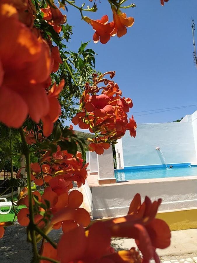 Quinta Da Ponte Das Hortas 3 Elvas Eksteriør bilde