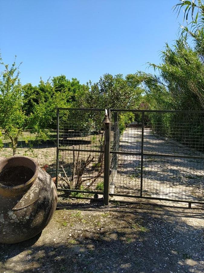 Quinta Da Ponte Das Hortas 3 Elvas Eksteriør bilde